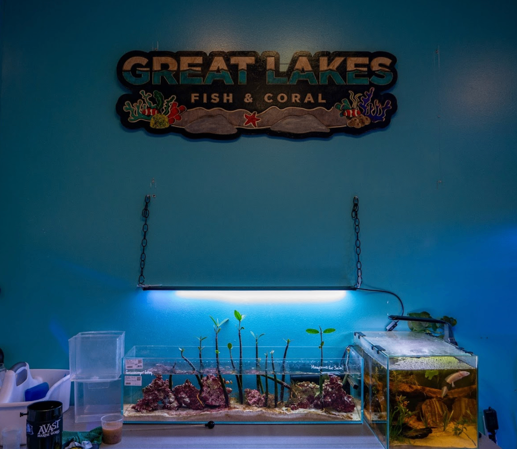 Great Lakes Fish & Coral wooden sign