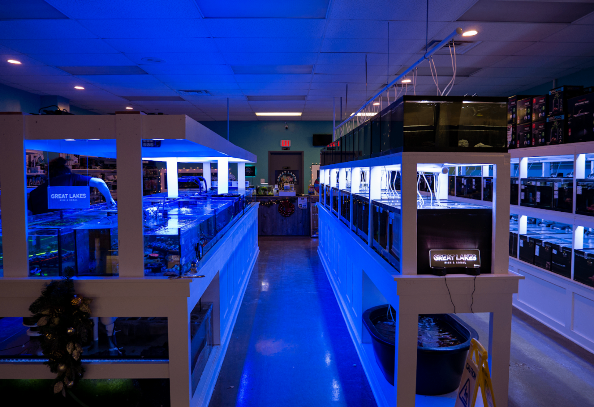 A coral aisle glowing blue under actinic lights
