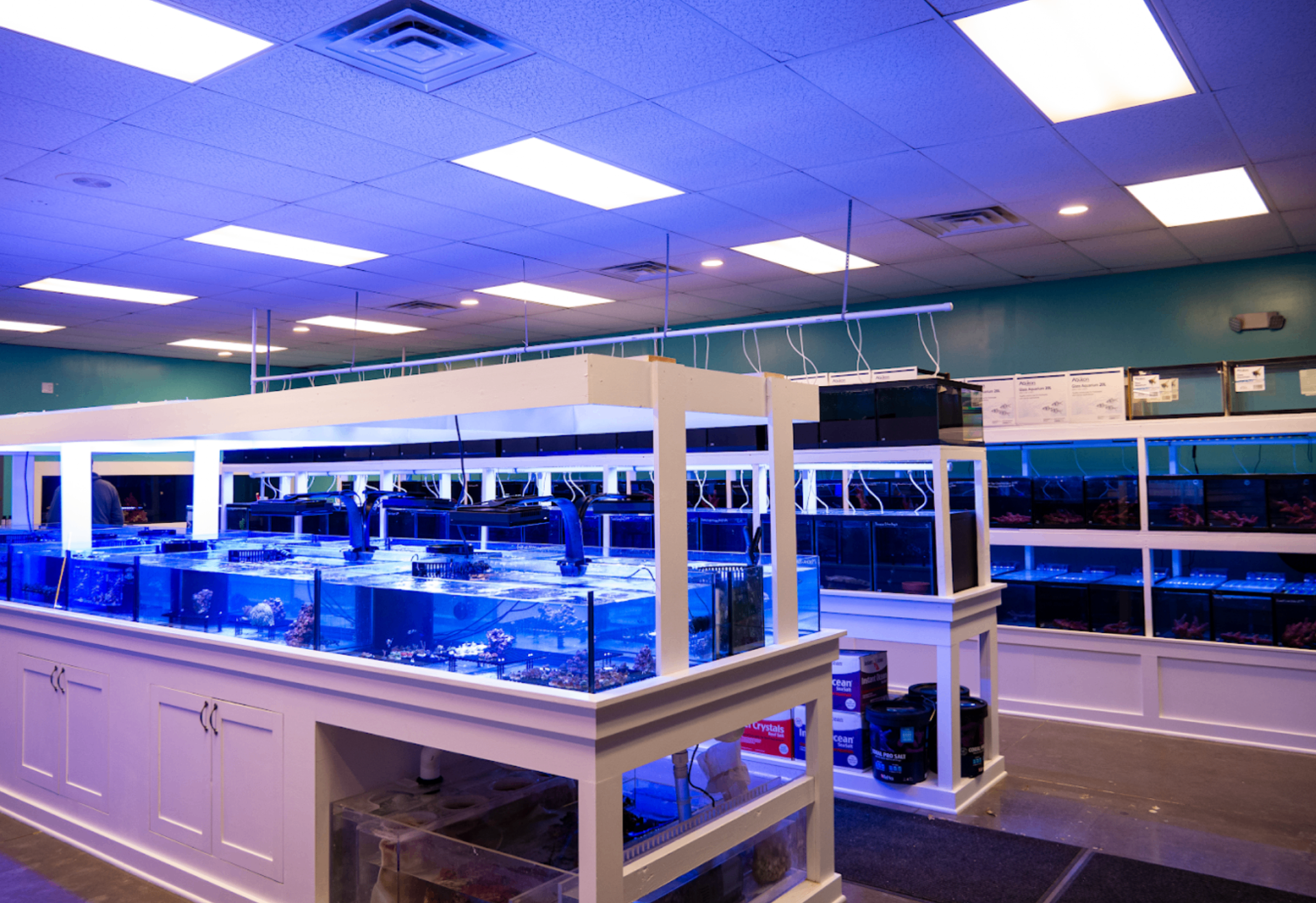 Rows of aquariums inside Great Lakes Fish & Coral